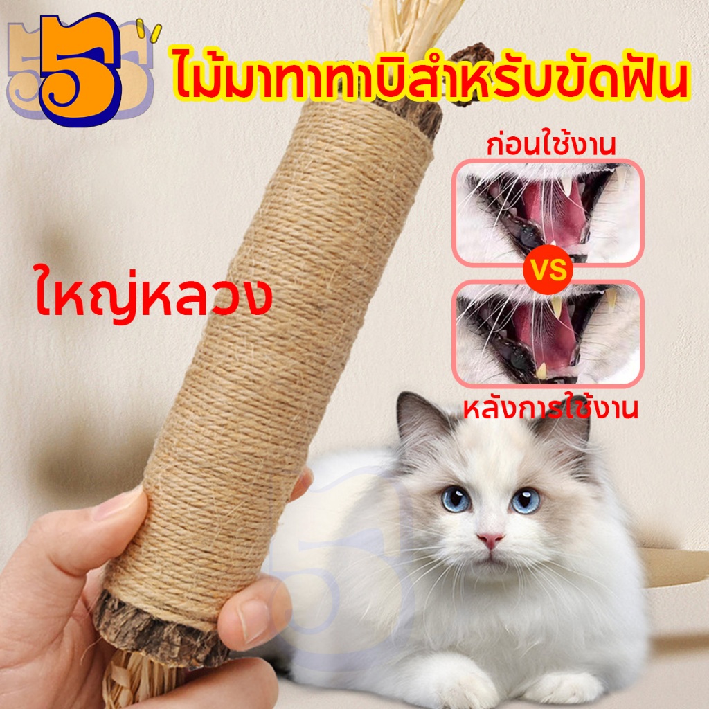 555PET ไม้มาทาทาบิ ขัดฟันแมว ของเล่นแมว หวายทำความสะอาดฟัน ลดคราบหินปูน สําหรับสัตว์เลี้ยงแมว
