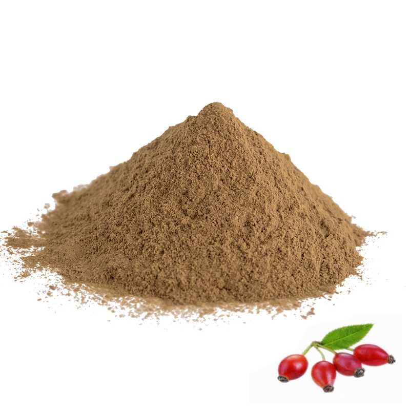 โรงงานจัดหาคุณภาพสูง Rose Hip Extract Rosehip Extract Powder Rosehip Fruit Extract