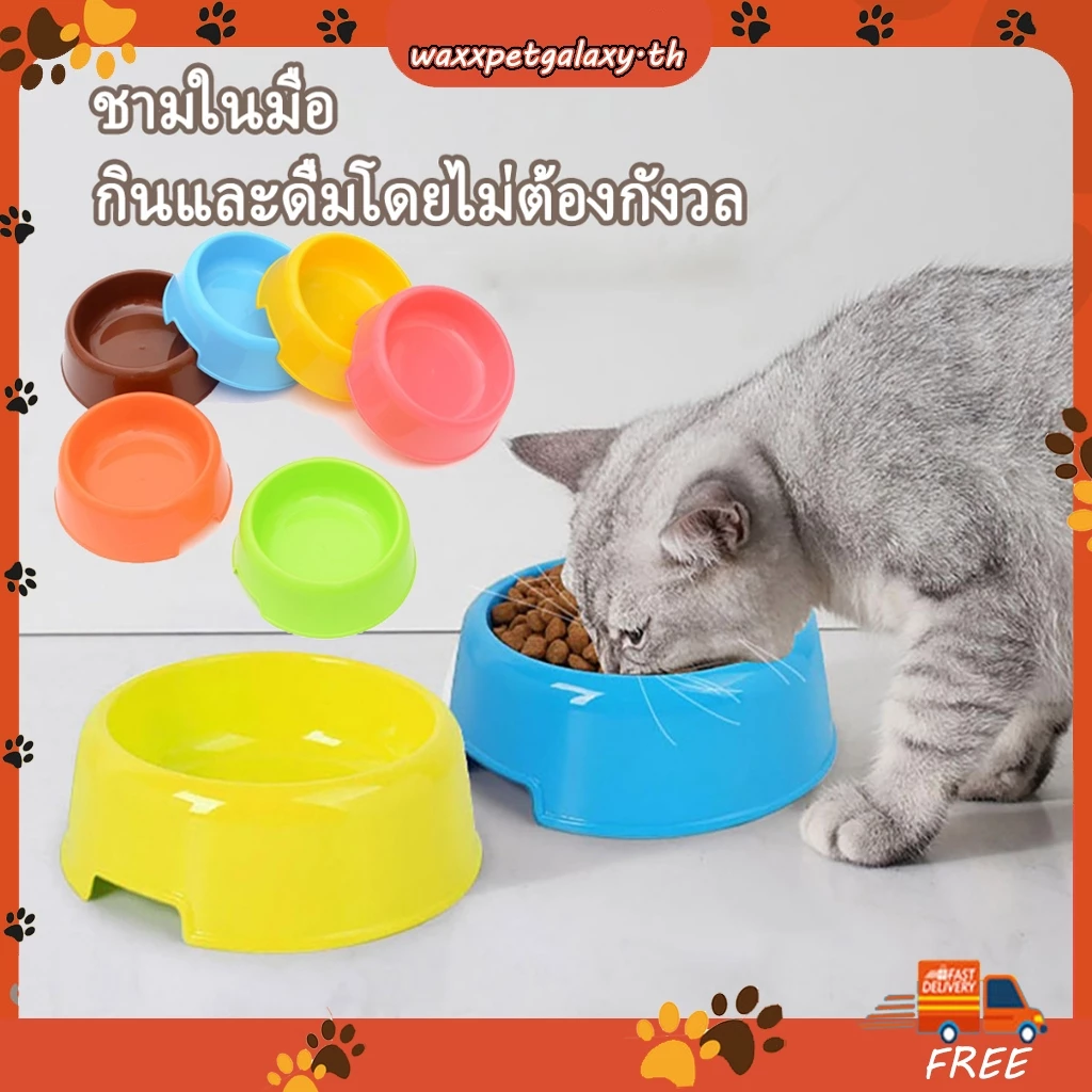 ชามอาหารสุนัข ชามอาหารแมว ชามอาหารสัตว์เลี้ยง หมา น้ําแมว