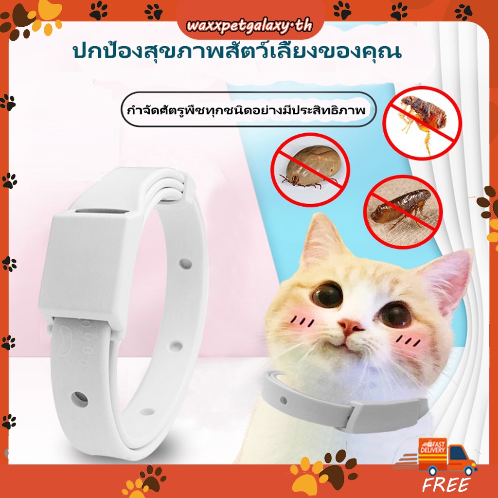 ปลอกคอกําจัดเห็บหมัด ปลอกคอแมว ปลอกคอกําจัดเห็บหมัดสุนัข ปลอกคอลูกแมว กําจัดเห็บหมัด กันน้ํา ปลอกคอกําจัดเห็บหมัดติดทนนาน