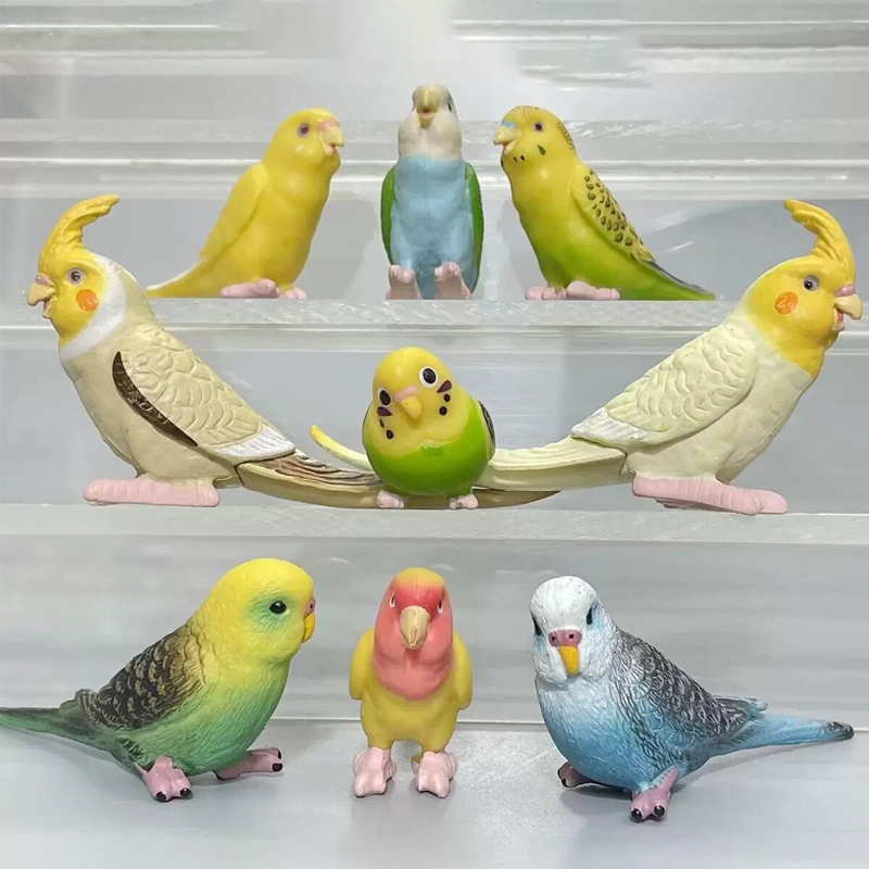 9 ชิ้น/เซ็ต 3-5 ซม.จําลองนกป่าสัตว์ของเล่นน่ารัก Mini Parrot รุ่นตัวเลขการกระทํา Miniature คอลเลกชันเครื่องประดับสําหรับใช้ในครัวเรือนตกแต่ง