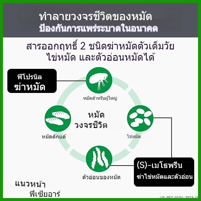 รูปภาพ 2