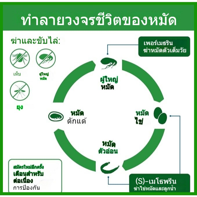รูปภาพ 3