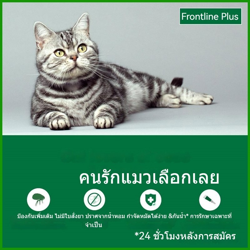 รูปภาพ 5