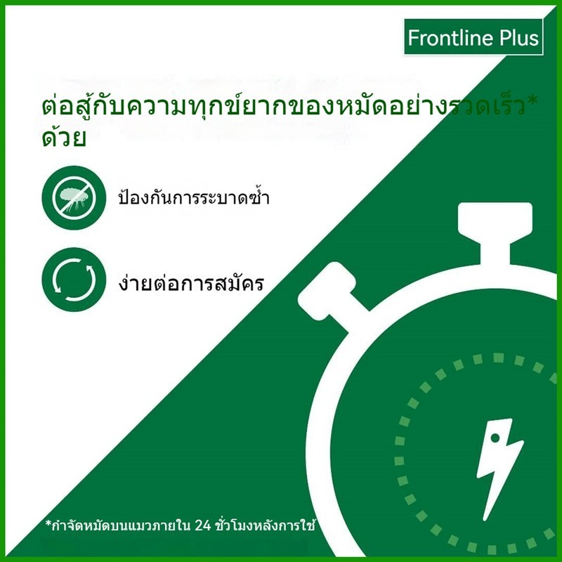 รูปภาพ 4