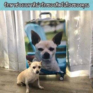 Fancytravel ทำเอง รูปถ่าย ผ้าคลุมกระเป๋าเดินทาง กระเป๋าเดินทาง ผ้ายึดได้เยอะ กันฝุ่น กันรอย สวมใส่ได้ ข้น 18/20/22/24/26/28/30นิ้ว