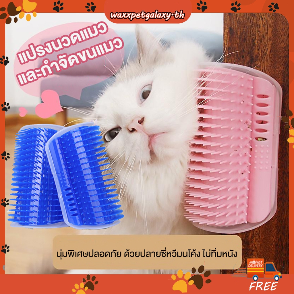 แปรงนวดแมว แปรงขนแมว เครื่องนวดแมว หวี ออกแบบมาเพื่อแยกทําความสะอาดได้ง่าย ติดผนัง แปรงสัตว์เลี้ยง