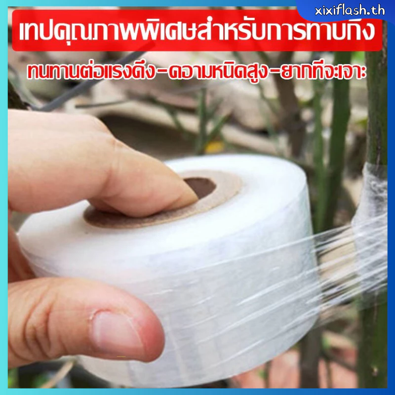 เทปพันกิ่งไม้ ขนาด 3cmx150m อุปกรณ์ทำสวน thumbnail 8
