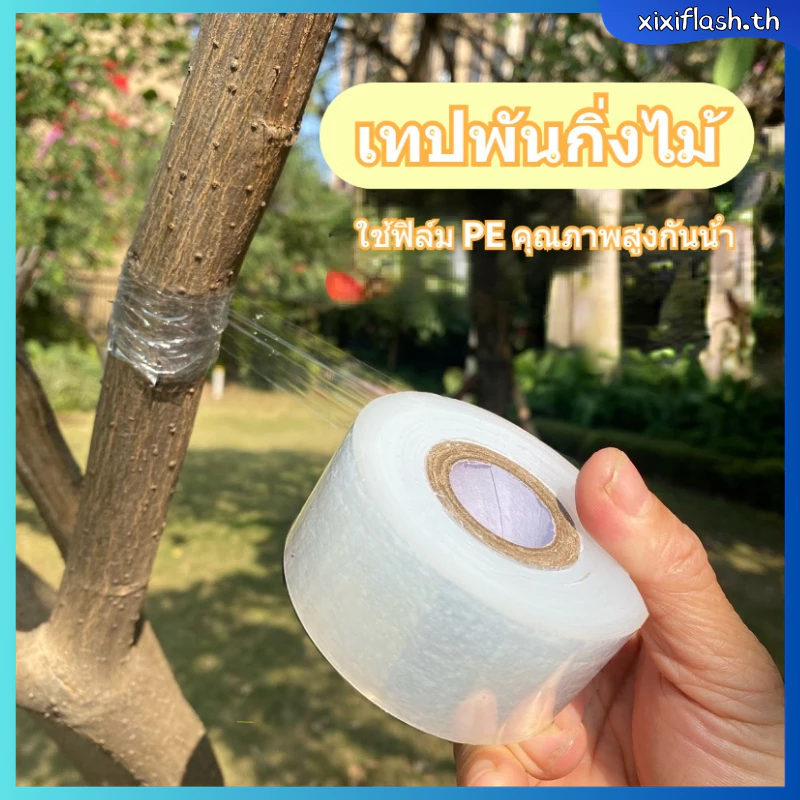 เทปพันกิ่งไม้ ขนาด 3cmx150m อุปกรณ์ทำสวน thumbnail 3