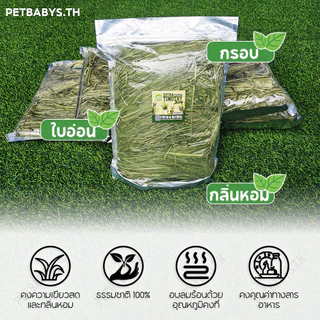 🌱หญ้ากระต่าย🌱หญ้าทิมโมธี เกรด พรีเมี่ยม 500 กรัม Premium Timothy เหมาะสำหรับสัตว์ฟันแทะ อาหารกระต่าย