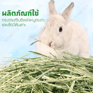 🌱หญ้ากระต่าย🌱หญ้าทิมโมธี เกรด พรีเมี่ยม 500 กรัม Premium Timothy เหมาะสำหรับสัตว์ฟันแทะ อาหารกระต่าย
