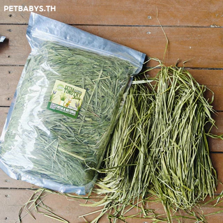 🌱หญ้ากระต่าย🌱หญ้าทิมโมธี เกรด พรีเมี่ยม 500 กรัม Premium Timothy เหมาะสำหรับสัตว์ฟันแทะ อาหารกระต่าย