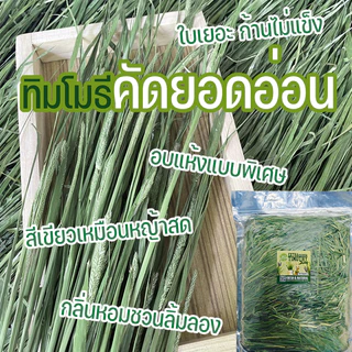 หญ้าทิมโมธี ออแกนิคอบลมร้อน 500g เกรดซุปเปอร์พรีเมียม สำหรับกระต่าย และสัตว์ฟันแทะ