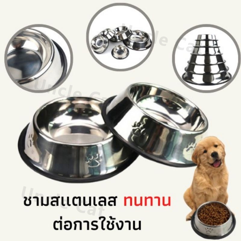 รูปภาพ 6