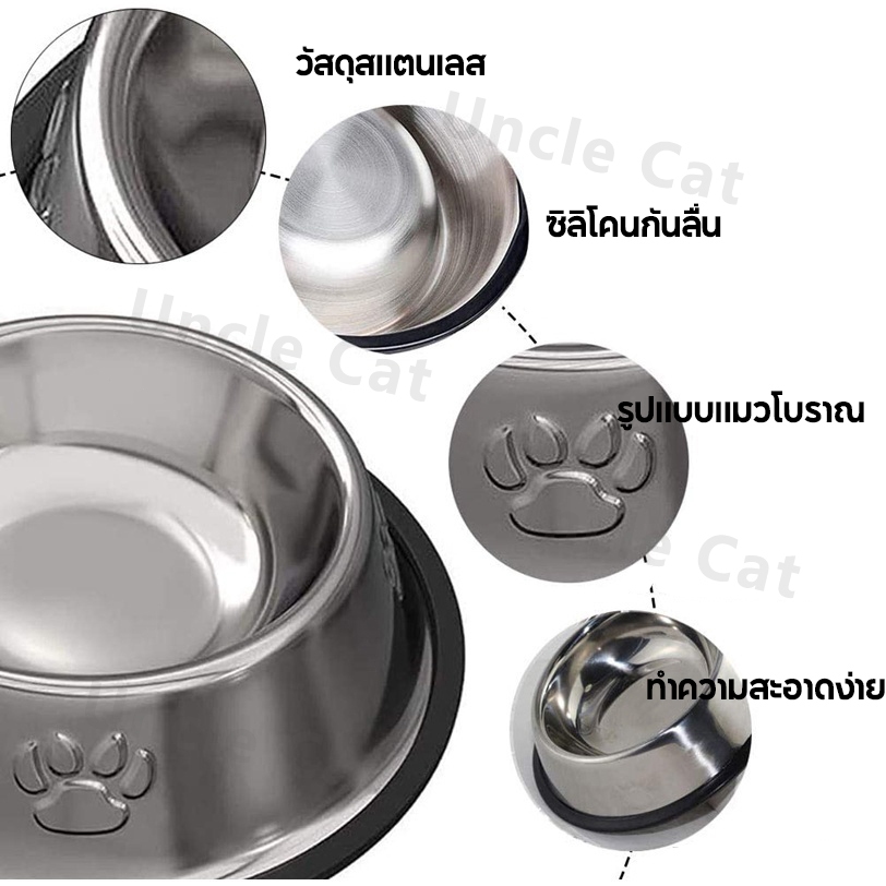 รูปภาพ 3