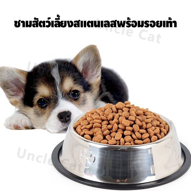 รูปภาพ 8