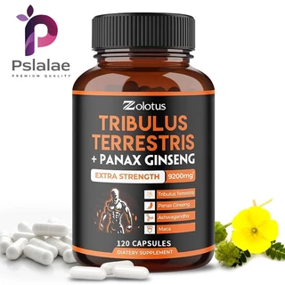 Tribulus Extract - ความอดทน พลังงาน ประสิทธิภาพ - ผลิตภัณฑ์เสริมอาหาร
