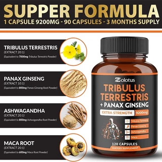 Tribulus Extract - ความอดทน พลังงาน ประสิทธิภาพ - ผลิตภัณฑ์เสริมอาหาร