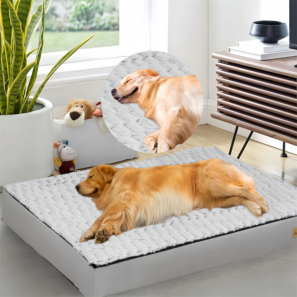 Bingopaw Jumbo Memory Foam Platform Dog Bed Orthopedic Pet Bed ที่นอน Kennel Crate Pad