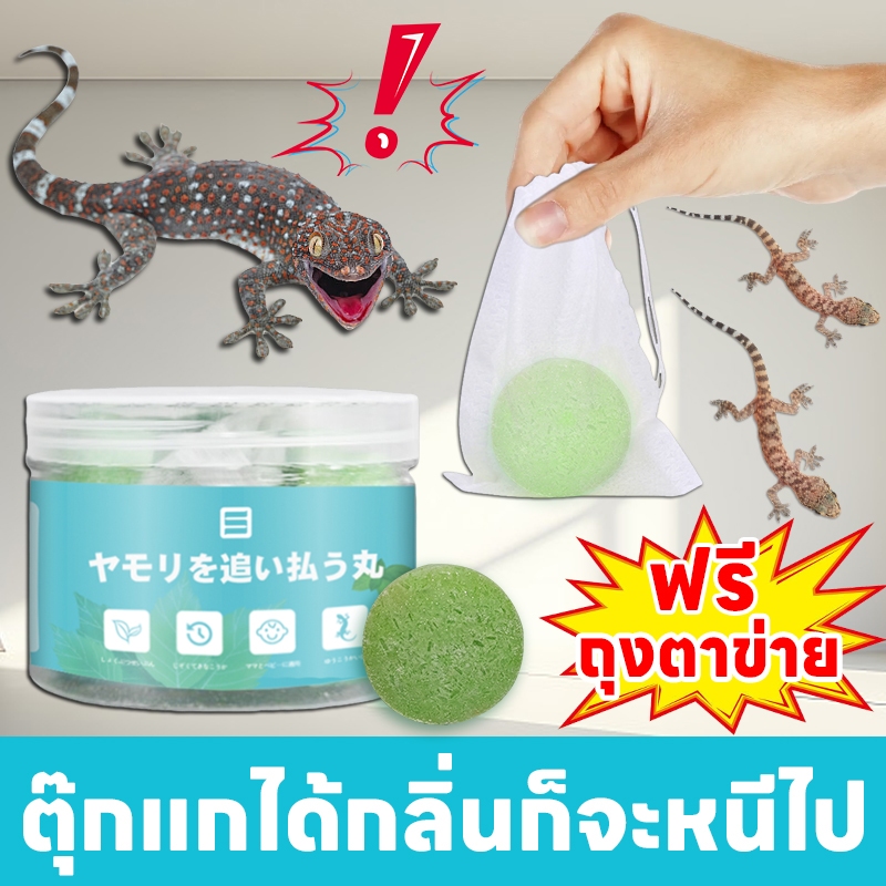 🦎300 เมตรไม่มีจิ้งจก🦎OA ไล่จิ้งจก ยาไล่จิ้งจก ไล่ตุ๊กแก สกัดจากพืช ไม่เป็นอันตรายต่อคนและสัตว์เลี้ยง