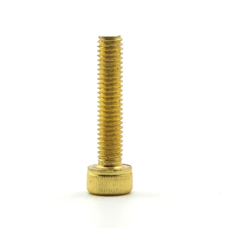 M2 M2.5 M3 M4 M5 Ti-plated Gold Hex ซ็อกเก็ตหัวหมวกสกรู Allen Bolts Hex ไดรฟ์ไทเทเนียมชุบทองสกรูอัลเลนทรงกระบอกถ้วยหัวซ็อกเก็ต Hex Bolts