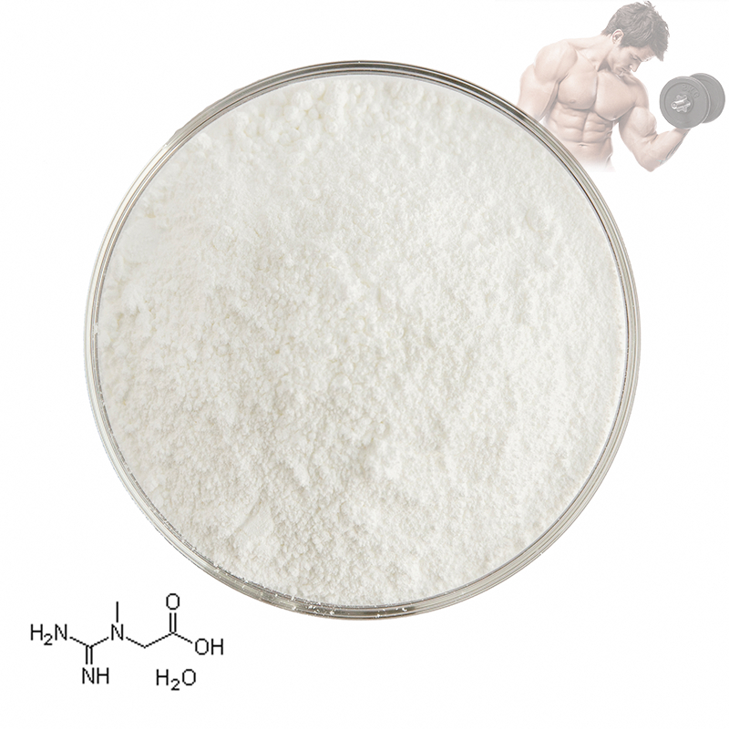 ขายส่ง Bulk Creatine Powder Food Grade อาหารเสริมโภชนาการ Creatine Monohydrate Powder
