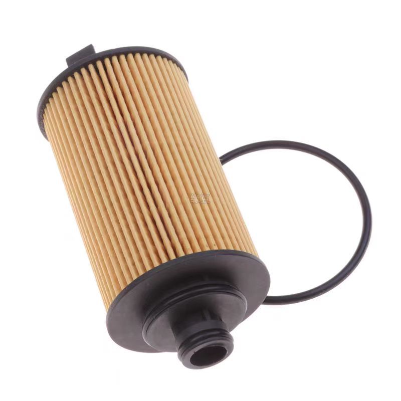 หน้า10007597 กรองน้ํามันเครื่องสําหรับ FOTON TUNLAND G7/F9 AUCAN ENGINE 4F20