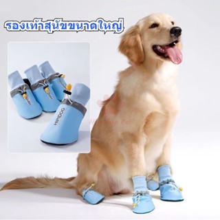 รองเท้าสัตว์เลี้ยง กันน้ํา พิมพ์ลายภาษาอังกฤษ ขนาดใหญ่ กลาง …