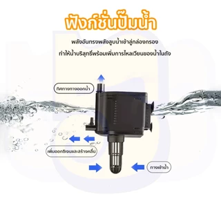 555PET กรองบนตู้ปลา 3 in 1 ปั๊มน้ำ ปั๊มน้ำตู้ปลา เสียงเงียบ ทำความสะอาดง่าย