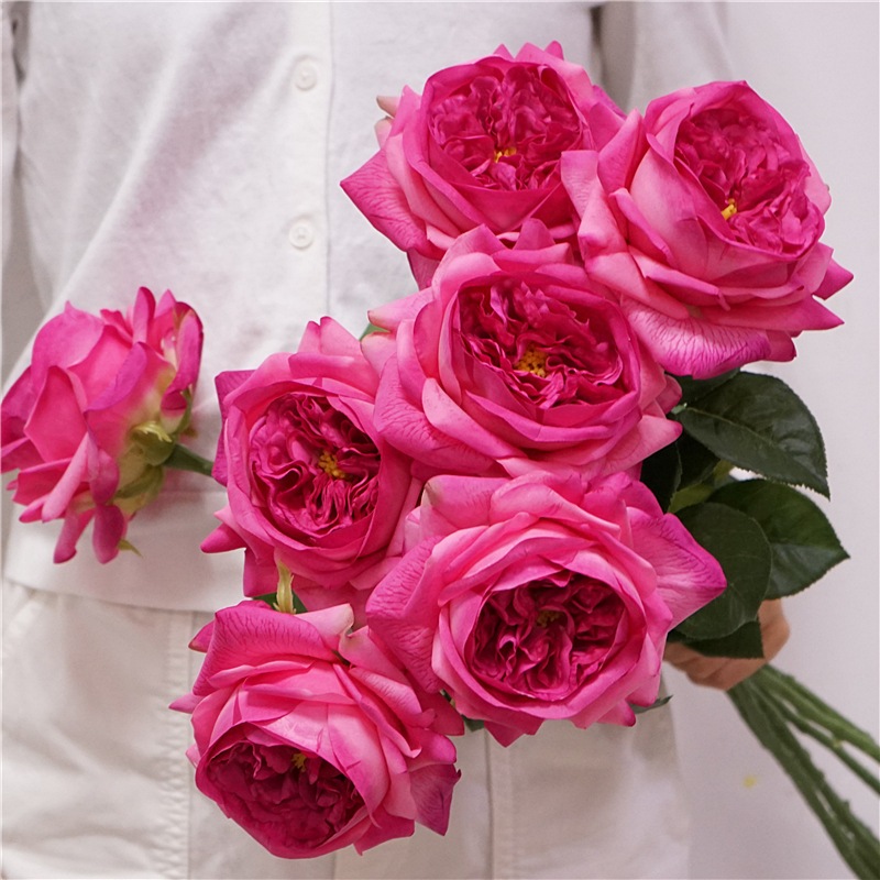 Austin Moisturizing Rose ดอกไม้ประดิษฐ์ปลอม ตกแต่งโต๊ะห้องนั่งเล่น