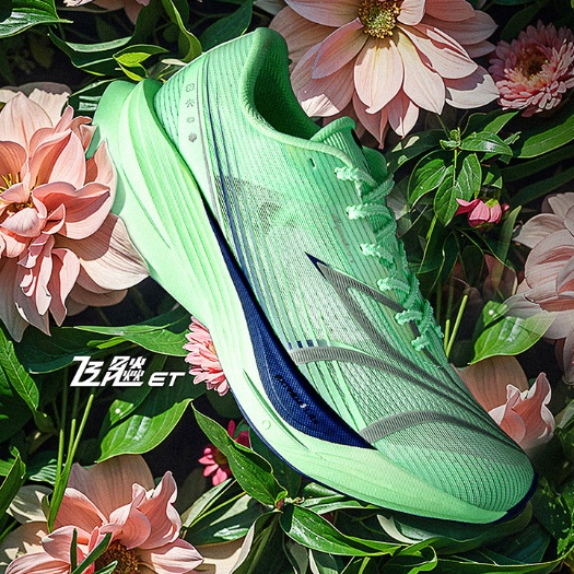 รูปภาพ 7