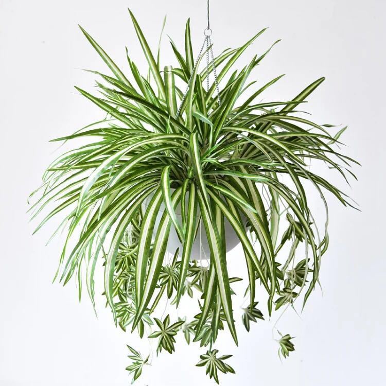 พืชพลาสติกประดิษฐ์ Chlorophytum สาขาตกแต่งบ้าน ต้นไม้ปลอม ตกแต่งโต๊ะกระถางในร่ม ไม่ใช่หม้อ