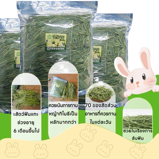 Timothy หญ้าทิโมธีอบหญ้าอบลมร้อน หญ้าอบแห้งกระต่าย ทิโมธ็ไฟเบอร์สูง500G ขนมกระต่ายเหมาะสำหรับสัตว์ฟันแทะ