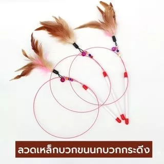 ไม้ล่อแมว ไม้ตกแมว ของเล่นแมว ไม้ตบแมว มีกระดิ่ง/ ไม้แมว ขอเล่นแมว ไม้แมว ยาวสุด ตกขนนก