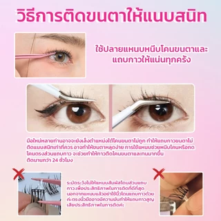 【มีส่งด่วนในเวลาทำการ】รวมรุ่นขนตามีกาวในตัวยอดฮิตจาก HeyeLash ติดง่าย ไม่ง้อกาว