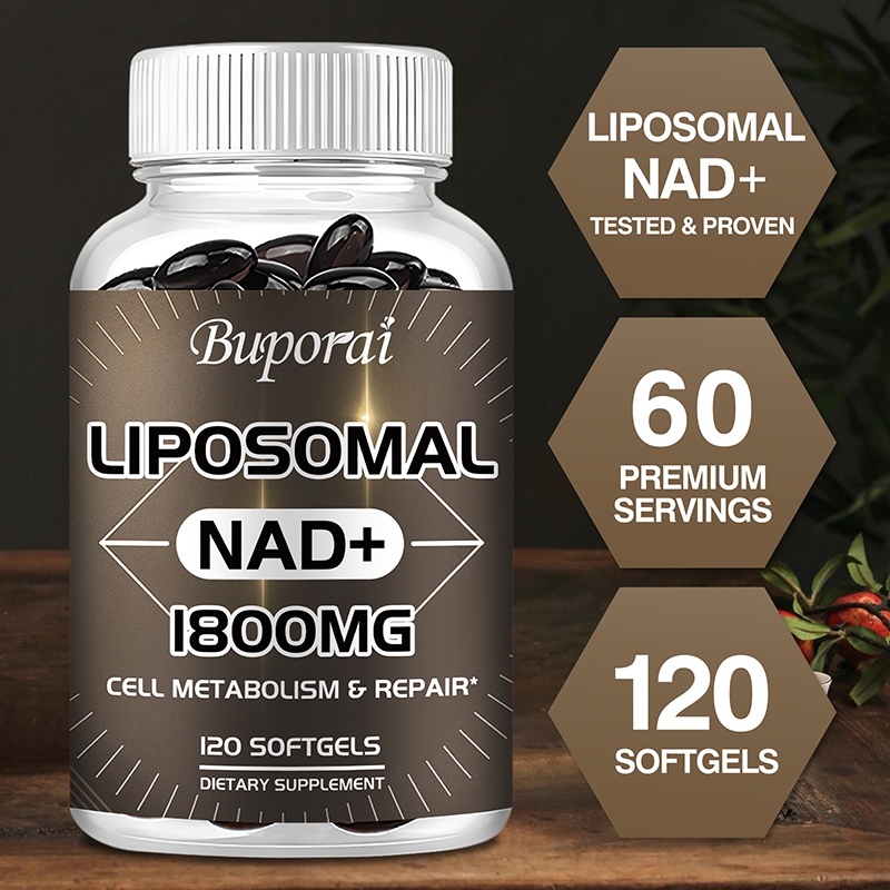 Liposomal NAD+ตัวแทนเสริม 1800 มก. การดูดซึมที่เหนือกว่า เสริม NAD+ มีประสิทธิภาพมากกว่า Nicotinamide Riboside สําหรับ Cellular Energy Aging Healthy 30/60/120 แคปซูล