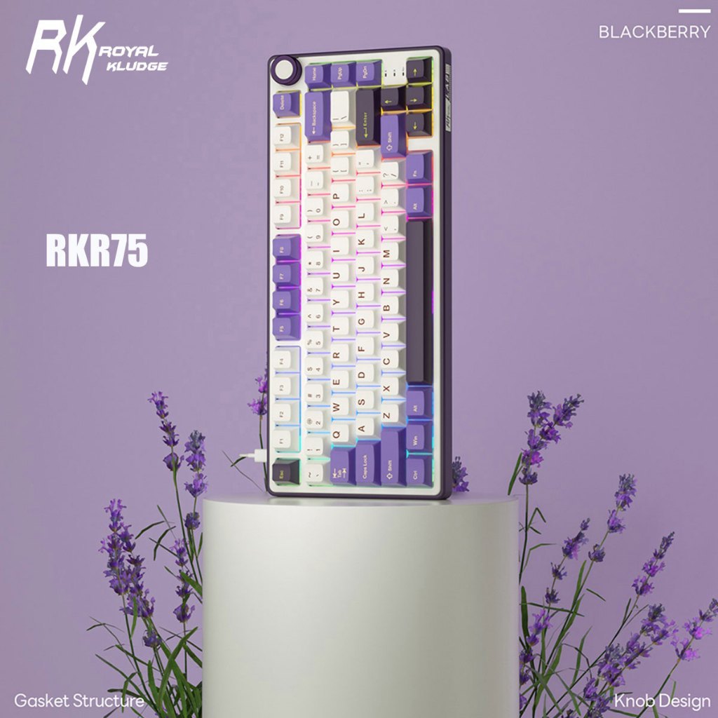 ใหม่ RK Royal Kludge RKR75 Blackberry ปะเก็น 81Key คีย์บอร์ดแบบมีสาย