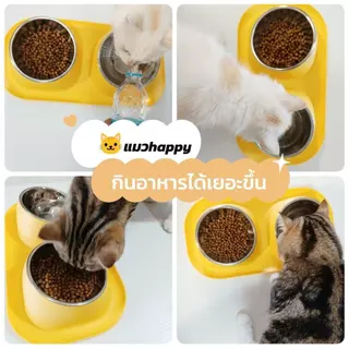 ชามอาหารแมว 2 หลุม แบบกันมด ชามอาหารสัตว์ ชามอาหารหมา สแตนเลส ทนทาน ปรับความสูงได้ คัดสรรมาเพื่อสัตว์เลี้ยง