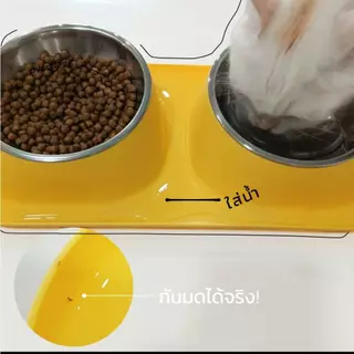 ชามอาหารแมว 2 หลุม แบบกันมด ชามอาหารสัตว์ ชามอาหารหมา สแตนเลส ทนทาน ปรับความสูงได้ คัดสรรมาเพื่อสัตว์เลี้ยง