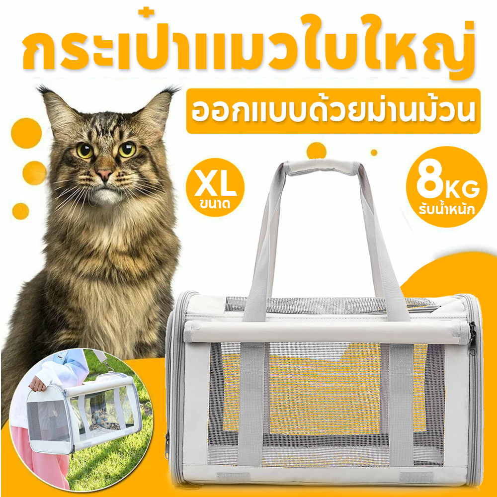 🔥ขนาดใหญ่🔥กระเป๋าแมว กระเป๋าสุนัข พกพา กระเป๋าแมวระบายอากาศ กระเป๋าสะพายสุนัขและแมว กระเป๋าเดินทางสัตว์เลี้ยง พับเก็บได้