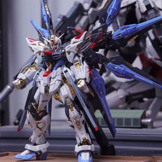 กันดั้มประกอบรุ่น HG 1/144 Free Strike Freedom Warrior Wing …