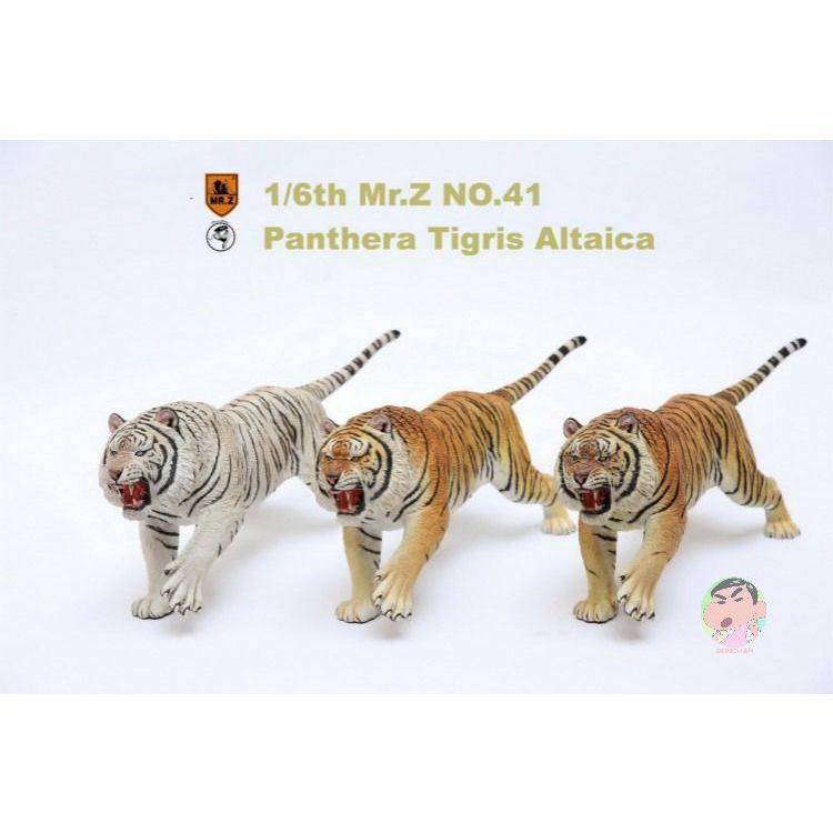 Mr.Z Panthera Tigris Altaica Siberian Tiger 1/6 Scale Resin Animal Model