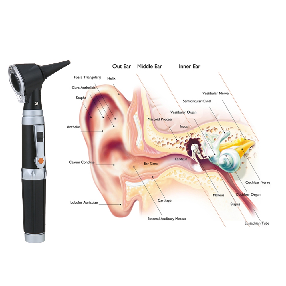 จัดส่งด่วนในพื้นที่ 🚚💨Carevas Pocket Otoscope 3X ขยายภาพครบสเปกตรัม สำหรับตรวจหูที่บ้าน ชุดดูแลหูสำหรับผู้ใหญ่และเด็ก รับรอง FDA & CE - รูปที่ 7
