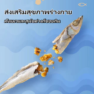 (ส่งเร็วจากไทย)Deeplove ขนมแมว เกลือ 0% ธัญพืช 0% สารกระตุ้นความอยากอาหาร 0%