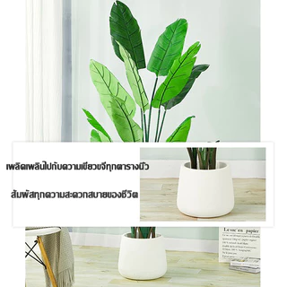 🌿🌿ต้นไม้ปลอม(ฟรี หินโรย กระถางดอกไม้) ต้นปลอมใหญ่ ใบตอง ต้นมอนสเตอร่าขนาดสูง75-120ซม ตั้งหน้าทีวี ตั้งพื้นและหัวเตียง ต้นไม้มงคล พร้อมกระถางและหินสีขาว สำหรับตกแต่งบ้านและสวน