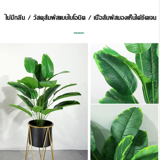 🌿🌿ต้นไม้ปลอม(ฟรี หินโรย กระถางดอกไม้) ต้นปลอมใหญ่ ใบตอง ต้นมอนสเตอร่าขนาดสูง75-120ซม ตั้งหน้าทีวี ตั้งพื้นและหัวเตียง ต้นไม้มงคล พร้อมกระถางและหินสีขาว สำหรับตกแต่งบ้านและสวน