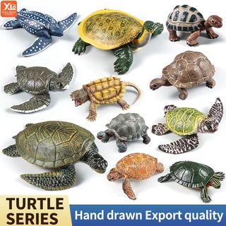 Sea Life จําลองสัตว์ทะเล Leatherback เต่าเต่าทะเลรุ่น Figurines ตัวเลขการกระทํา PVC การศึกษาของเล่นเด็กของขวัญ