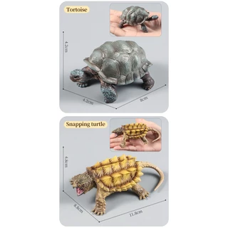 Sea Life จําลองสัตว์ทะเล Leatherback เต่าเต่าทะเลรุ่น Figurines ตัวเลขการกระทํา PVC การศึกษาของเล่นเด็กของขวัญ