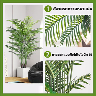ต้นไม้ปลอม🌳พร้อมกระถางและหินสีขาว🌳ความจำลอง 99% ต้นไม้มงคลปลอม ต้นไม้เทียม 18/24ใบ ต้นไม้ปลอมใหญ่ ของแต่งบ้าน แต่งห้อง