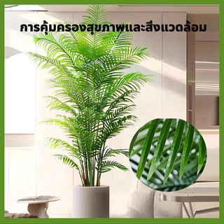 ต้นไม้ปลอม🌳พร้อมกระถางและหินสีขาว🌳ความจำลอง 99% ต้นไม้มงคลปลอม ต้นไม้เทียม 18/24ใบ ต้นไม้ปลอมใหญ่ ของแต่งบ้าน แต่งห้อง